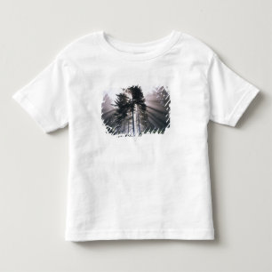 Camiseta Infantil EUA, Washington, Parque Nacional Olímpico, Manhã