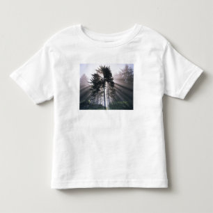 Camiseta Infantil EUA, Washington, Parque Nacional Olímpico, Manhã