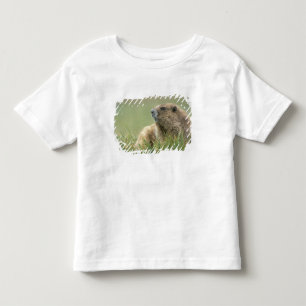 Camiseta Infantil EUA, Washington, Parque Nacional Olímpico, Marmota