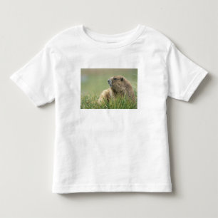 Camiseta Infantil EUA, Washington, Parque Nacional Olímpico, Marmota