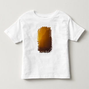Camiseta Infantil EUA, Washington, Parque Nacional Olímpico, Pôr do