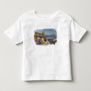 Camiseta Infantil EUA, Washington, Parque Nacional Olímpico, Rialto