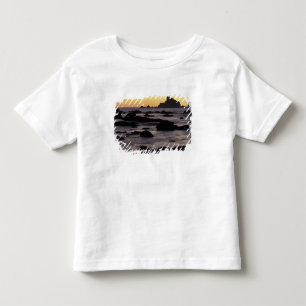 Camiseta Infantil EUA, Washington, Parque Nacional Olímpico, Seastac