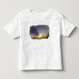 Camiseta Infantil EUA, Washington, perto de Port Townsend. Ponto