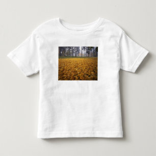 Camiseta Infantil EUA, Washington, Spokane, Manito Park, Outono