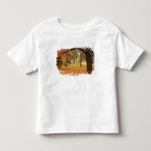 Camiseta Infantil EUA, Washington, Spokane, Manito Park, Outono 2