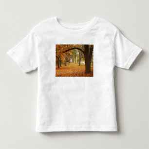 Camiseta Infantil EUA, Washington, Spokane, Manito Park, Outono 2