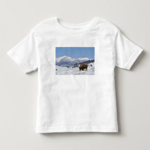 Camiseta Infantil EUA, WY, Parque Nacional Yellowstone, Bisonte Amer