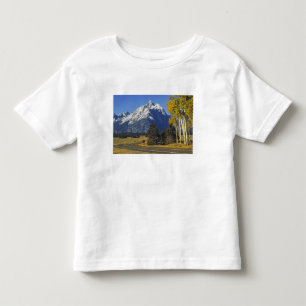 Camiseta Infantil EUA, Wyoming, Grand Teton NP. Teton Parkway