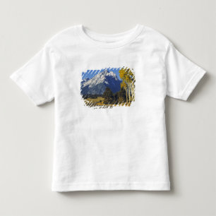 Camiseta Infantil EUA, Wyoming, Grand Teton NP. Teton Parkway