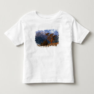 Camiseta Infantil EUA, Wyoming, Grand Teton NP. Um cedro solitário