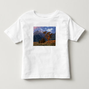 Camiseta Infantil EUA, Wyoming, Grand Teton NP. Um cedro solitário