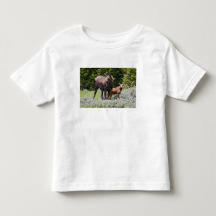 Camiseta Infantil EUA, Wyoming, Montanhas Bighorn, alce Alces