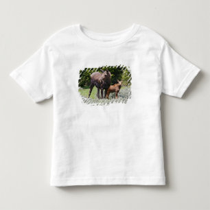 Camiseta Infantil EUA, Wyoming, Montanhas Bighorn, Alces de alce
