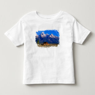 Camiseta Infantil EUA, Wyoming, Parque Nacional Grand Teton, Manhã