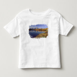 Camiseta Infantil EUA, Wyoming, Parque Nacional Grand Teton. Mt. 2