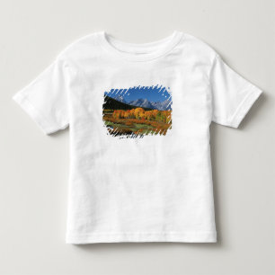 Camiseta Infantil EUA, Wyoming, Parque Nacional Grand Tetons em