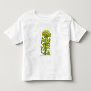 Camiseta Infantil Eufórbio