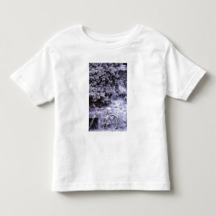 Camiseta Infantil Europa, Alemanha, Baden, Wurttemberg, Heidelberg.