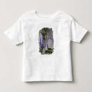 Camiseta Infantil Europa, Áustria, Salzburg Stadt, Salzburg,