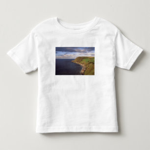 Camiseta Infantil Europa, Escócia, Aberdeen. Vista aérea de