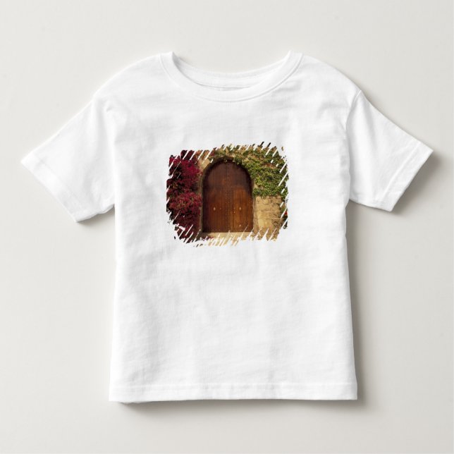 Camiseta Infantil Europa, Espanha, Baleares, Maiorca, Palma de (Frente)