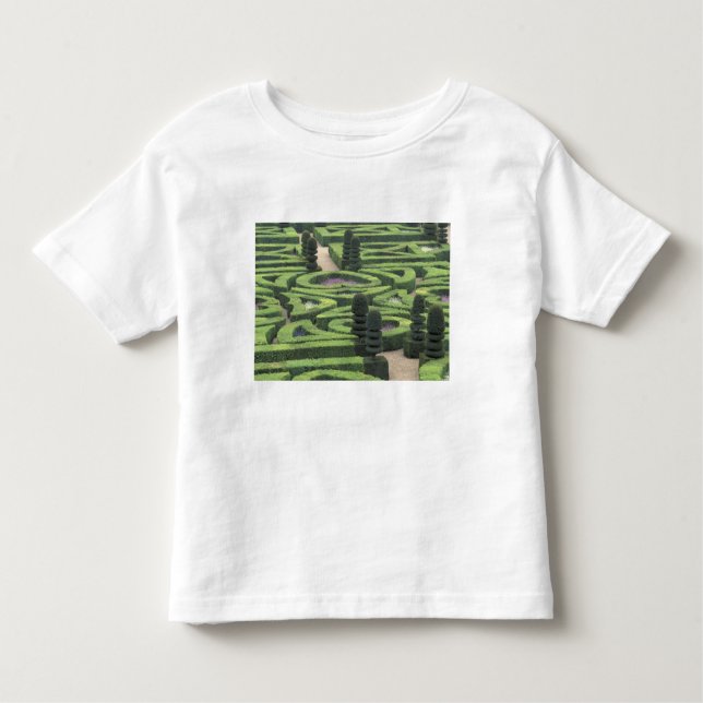 Camiseta Infantil Europa, França, Indre, et, Loire; Loire (Frente)