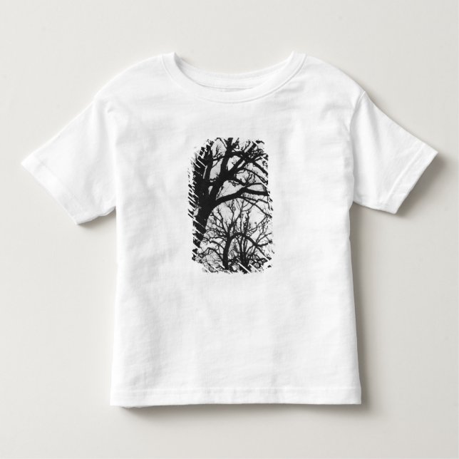Camiseta Infantil Europa, França, Paris. Árvores de inverno, Marco (Frente)