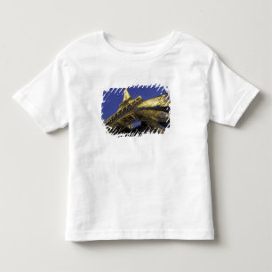 Camiseta Infantil Europa, França, Paris, Torre Eiffel, noite 2