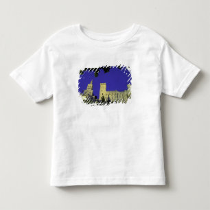 Camiseta Infantil Europa, França, Provença, Avinhão. Palácio dos
