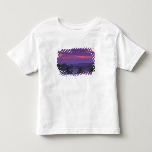 Camiseta Infantil Europa, França, Provença, Avinhão. Pont St,
