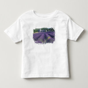Camiseta Infantil Europa, França, Provença. Campos de lavanda