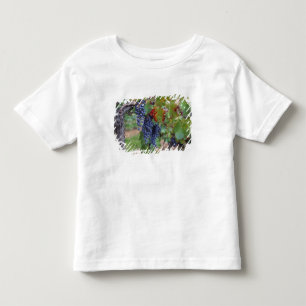 Camiseta Infantil Europa, França, Roussillon. Vinhas, com