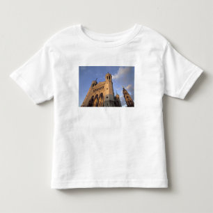 Camiseta Infantil Europa, França, Vale do Ródano, Vallee du Rhone,