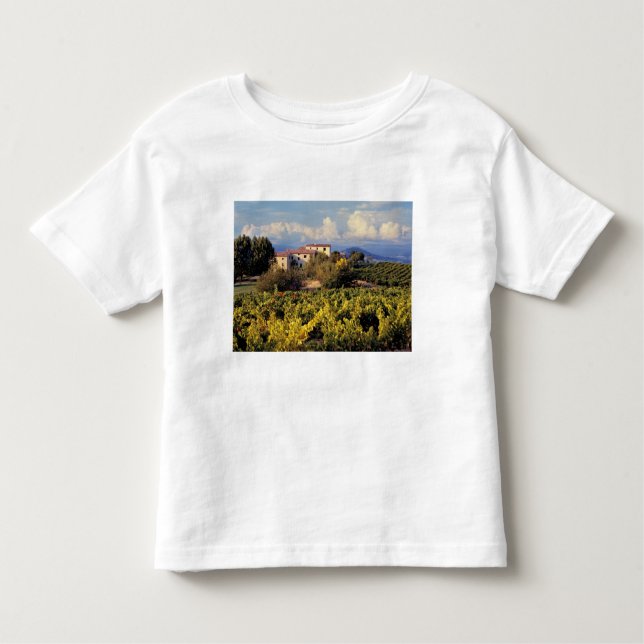 Camiseta Infantil Europa, France, Bonnieux. Os vinhedos cobrem (Frente)