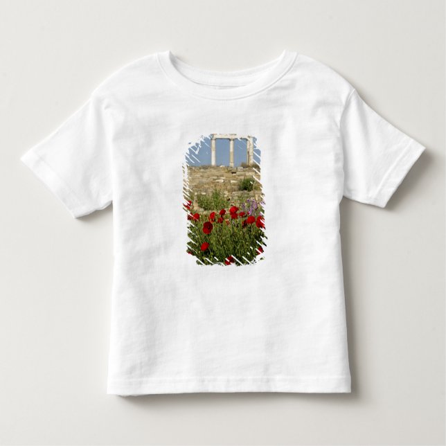 Camiseta Infantil Europa, Grécia, Cíclades, Delos. Ruínas de coluna. (Frente)