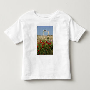 Camiseta Infantil Europa, Grécia, Cíclades, Delos. Ruínas de coluna.