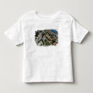 Camiseta Infantil Europa, Grécia, Peloponeso, Monemvasia