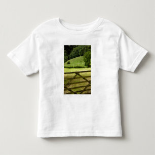 Camiseta Infantil Europa, Inglaterra, Lake District, Cumbria,