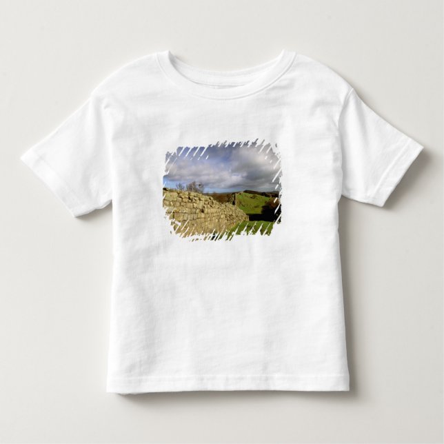 Camiseta Infantil Europa, Inglaterra, Northumberland. Hadrian (Frente)