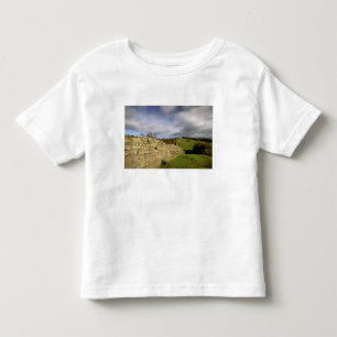 Camiseta Infantil Europa, Inglaterra, Northumberland. Muro de Adrian