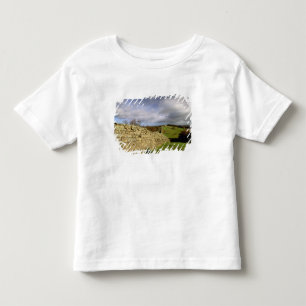 Camiseta Infantil Europa, Inglaterra, Northumberland. Muro de Adrian
