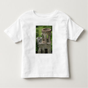 Camiseta Infantil Europa, Irlanda, Castelo de Blarney. ESTA IMAGEM