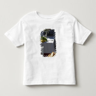 Camiseta Infantil Europa, Itália, região da Ligúria, Cinque Terre,