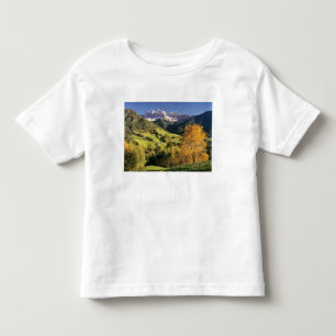 Camiseta Infantil Europa, Itália, Santa Magdalena. O minúsculo