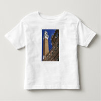 Europa, Itália, Toscana, Siena. Torre del