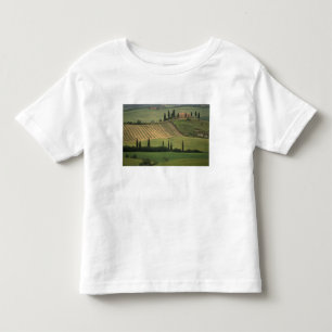 Camiseta Infantil Europa, Itália, Toscana, Val d' Orcia, Toscano
