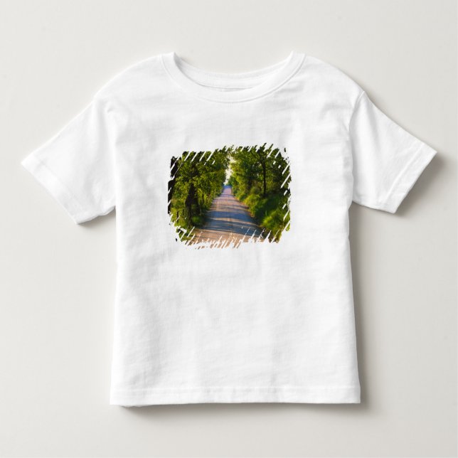 Camiseta Infantil Europa, Itália, Toscânia, estrada em linha (Frente)