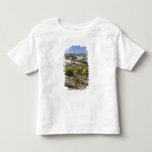 Camiseta Infantil Europa, Itália, Úmbria, perto de Montefalco, Vinha