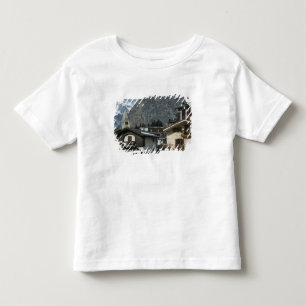 Camiseta Infantil Europa, Itália, Vale d'Aosta, COURMAYEUR: Cidade